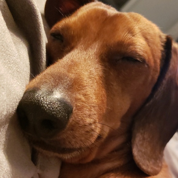 Meet your Posher, Kristy - Picture 1 of 1